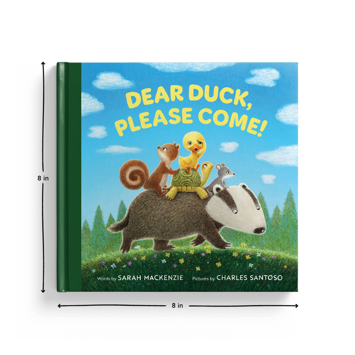 Product Listing-Dear Duck-Dimensions - Waxwing Books