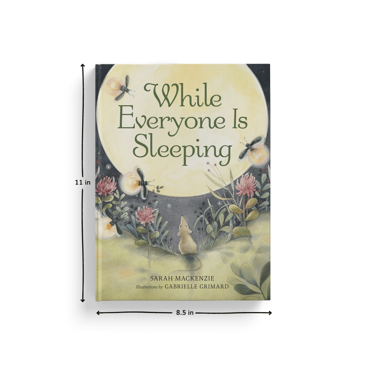 Product Listing-While Everyone Is Sleeping-Dimensions - Waxwing Books