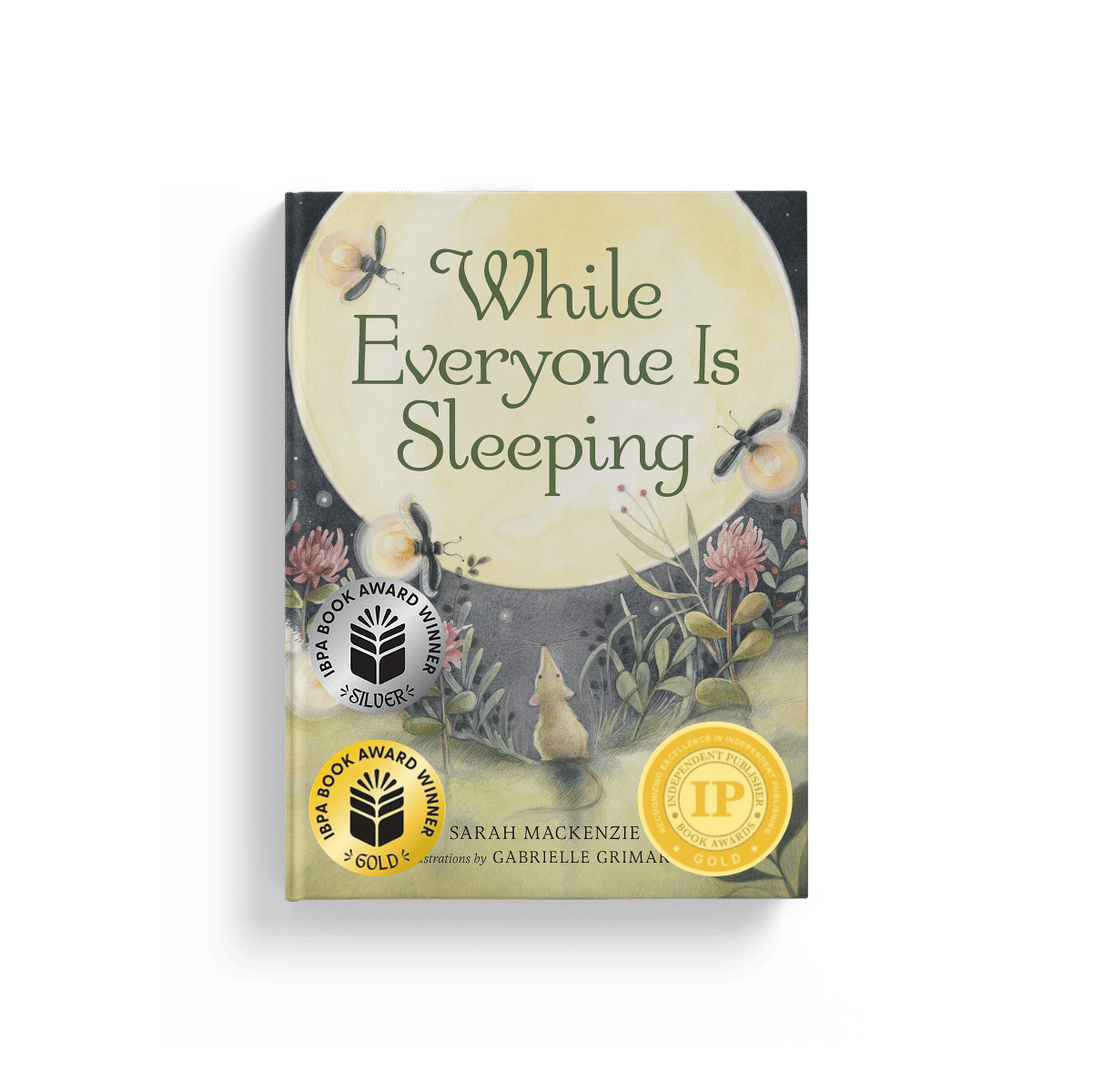 While Everyone Is Sleeping-Awards - Waxwing Books